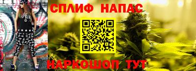 хмурый Краснодар