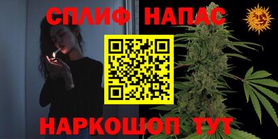 гидра Краснознаменск