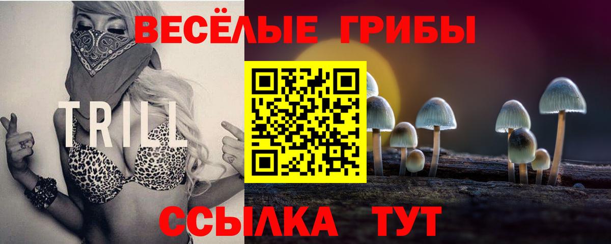 Псилоцибиновые грибы Psilocybine cubensis Иваново